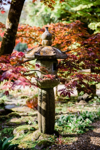 The Japanese Garden